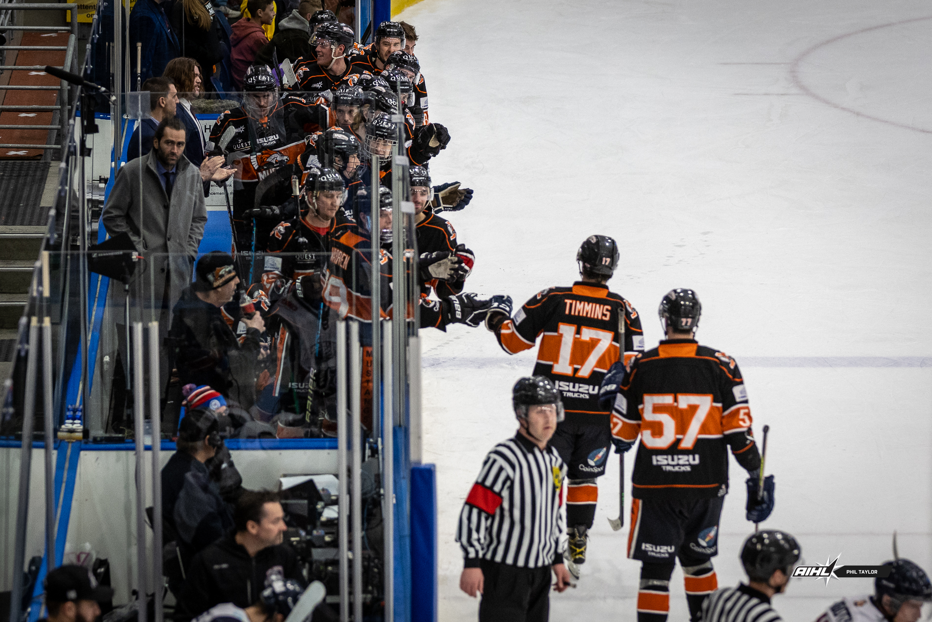 Mustangs ready to open the stable for AIHL alumni reunion