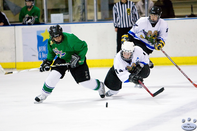 New AWIHL season ready to go